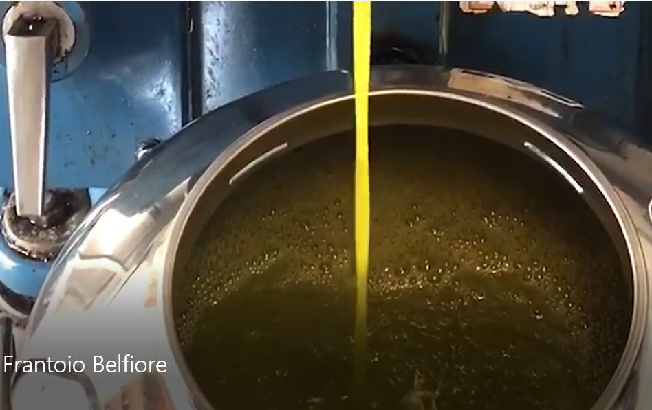 Un olio Extra Vergine di oliva di prima spremitura a freddo 